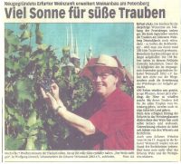 se trauben